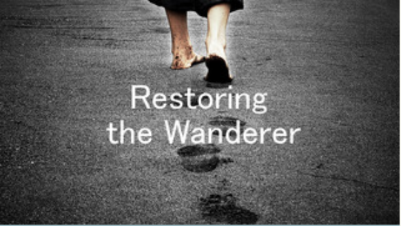 Restoring the Wanderer