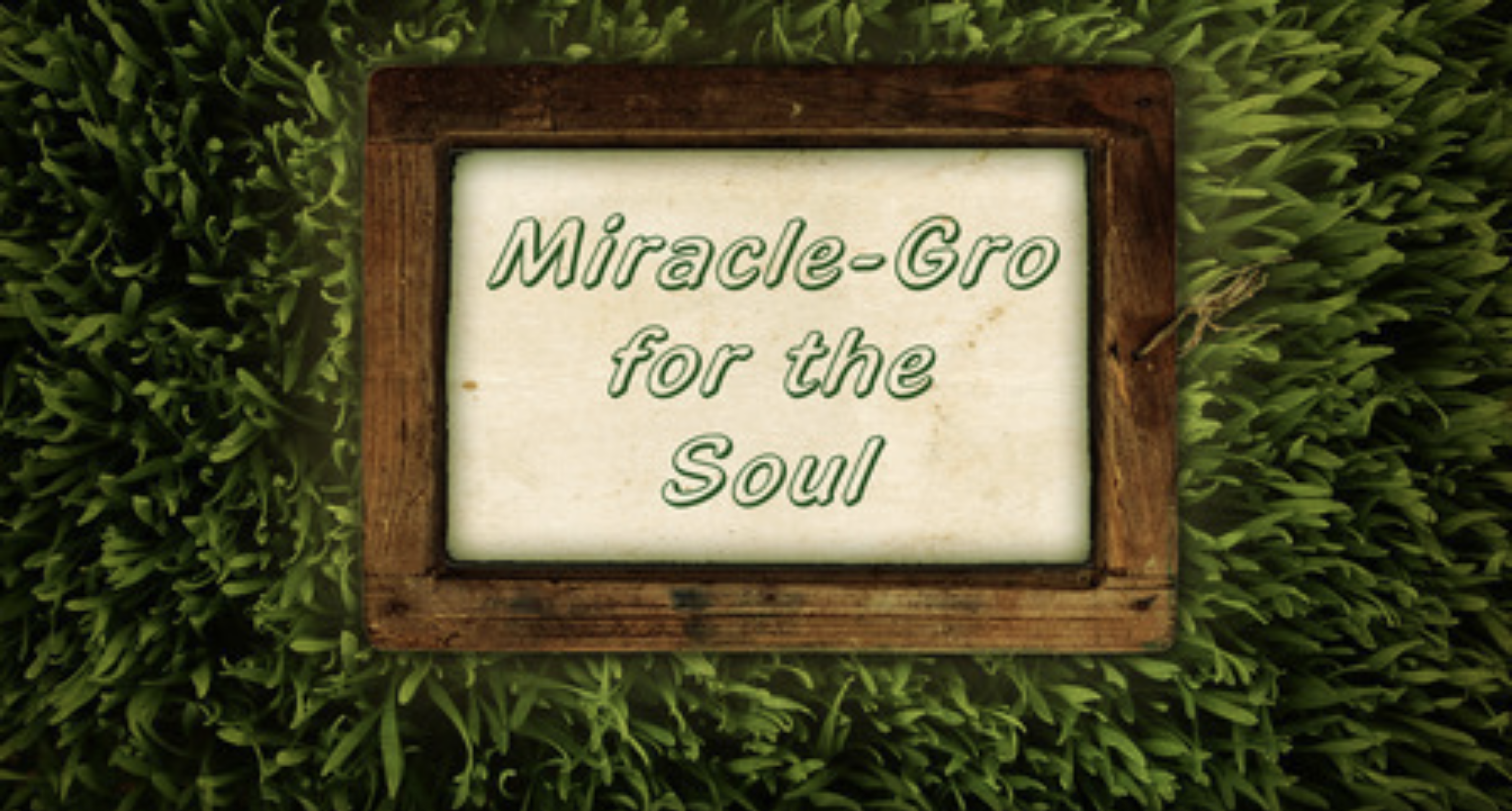 Miracle-Gro for the Soul