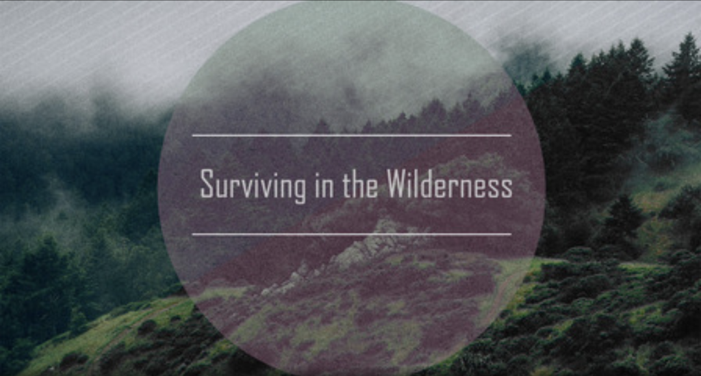 Surviving in the Wilderness