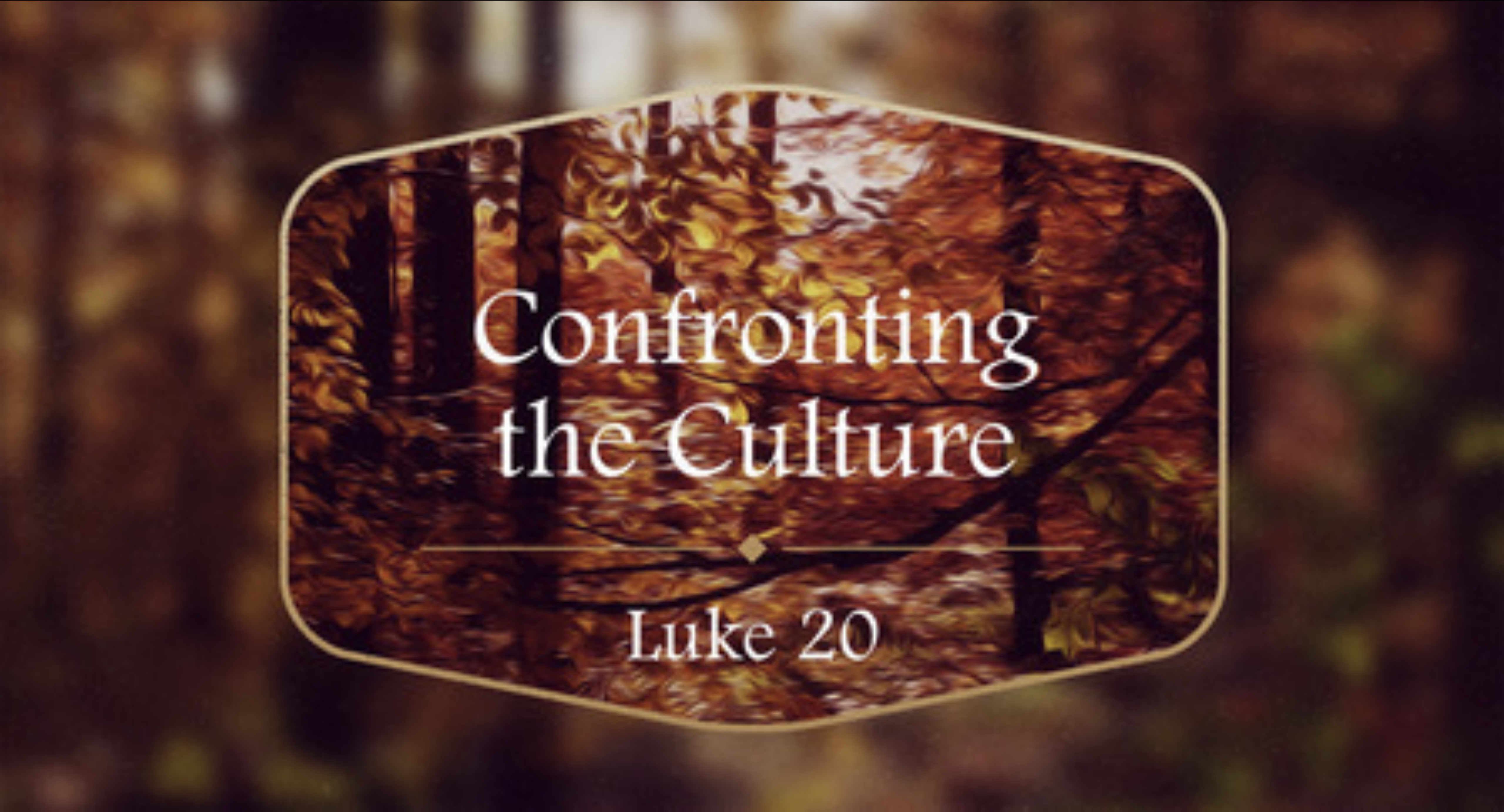Confronting the Culture