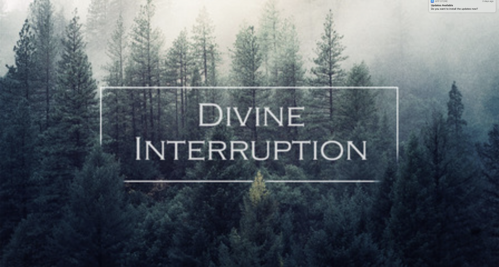 Divine Interruption