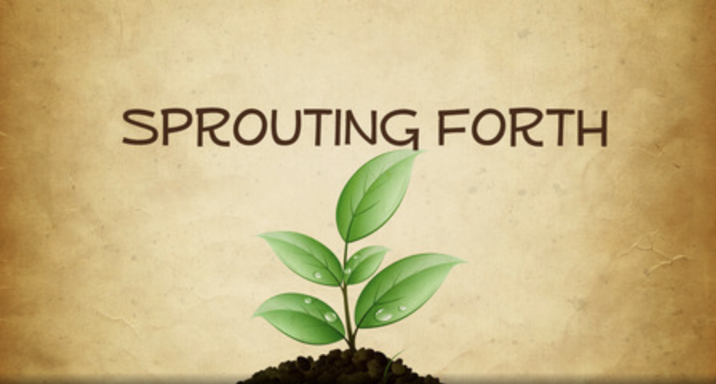 Sprouting Forth
