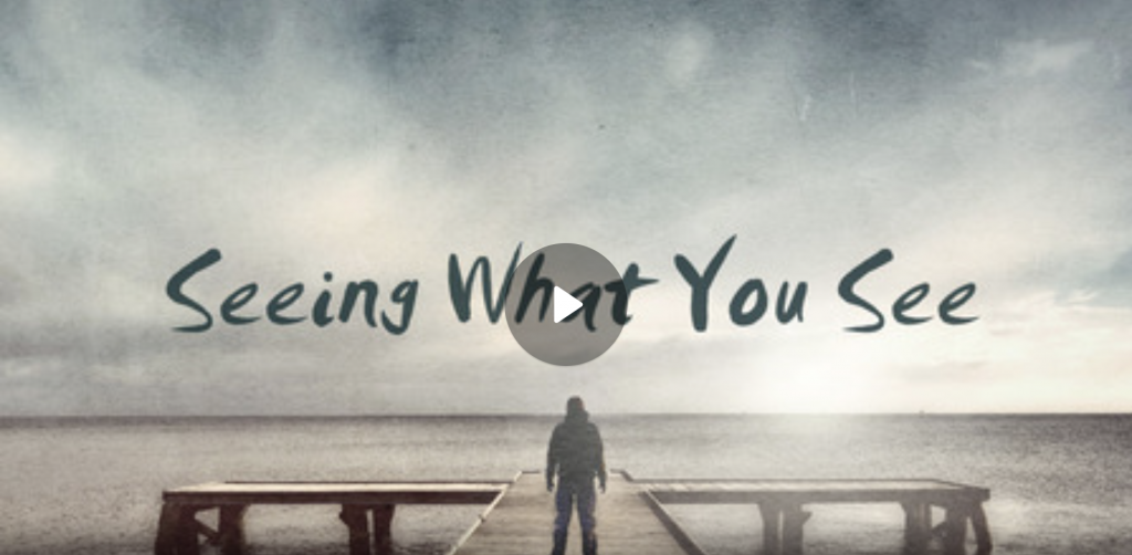 Seeing What You See