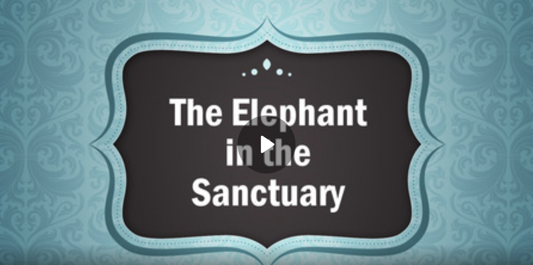 The Elephant in the Sanctuary
