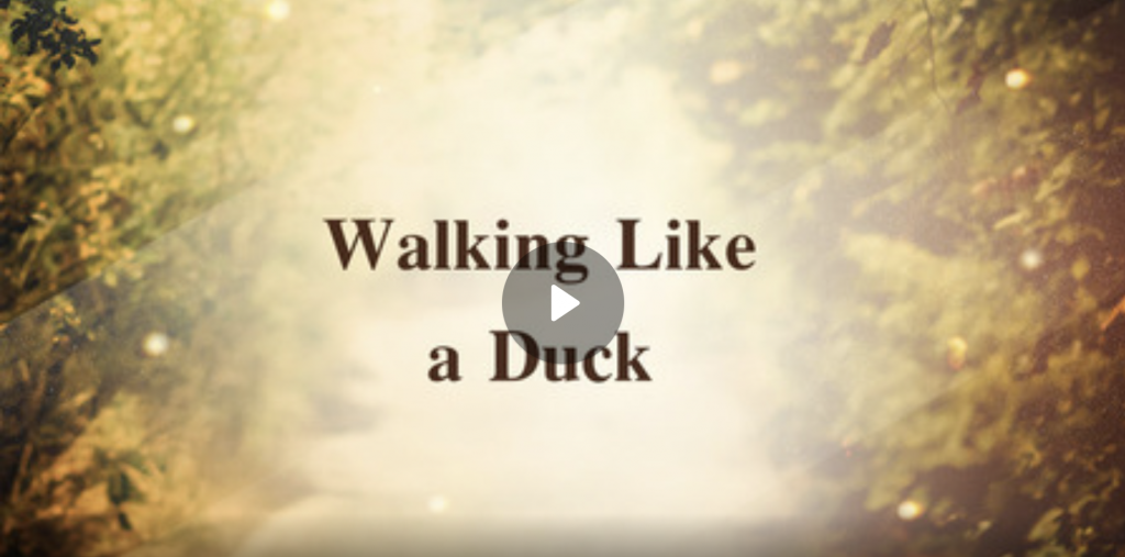 Walking Like a Duck