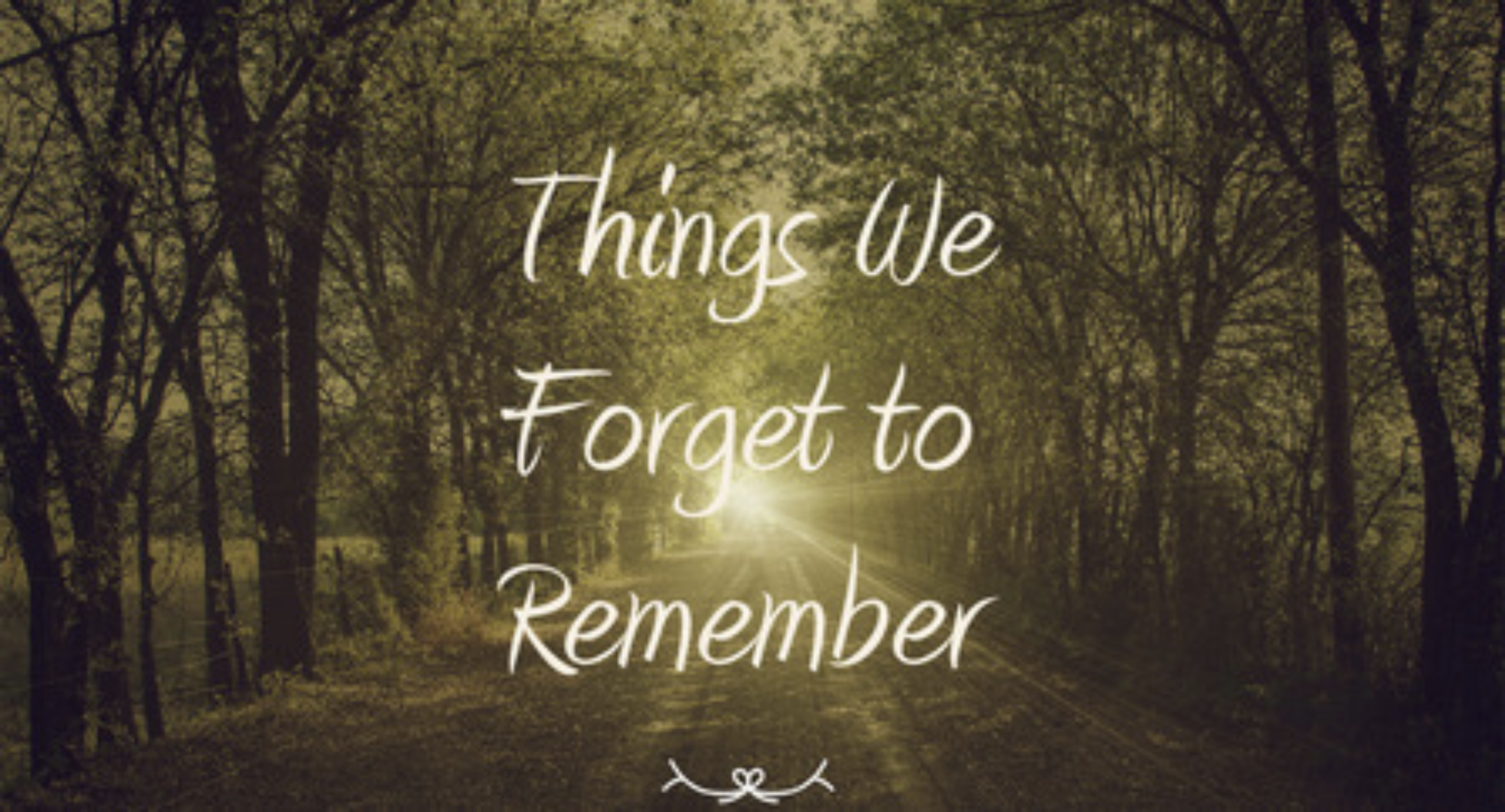 Things We Forget to Remember