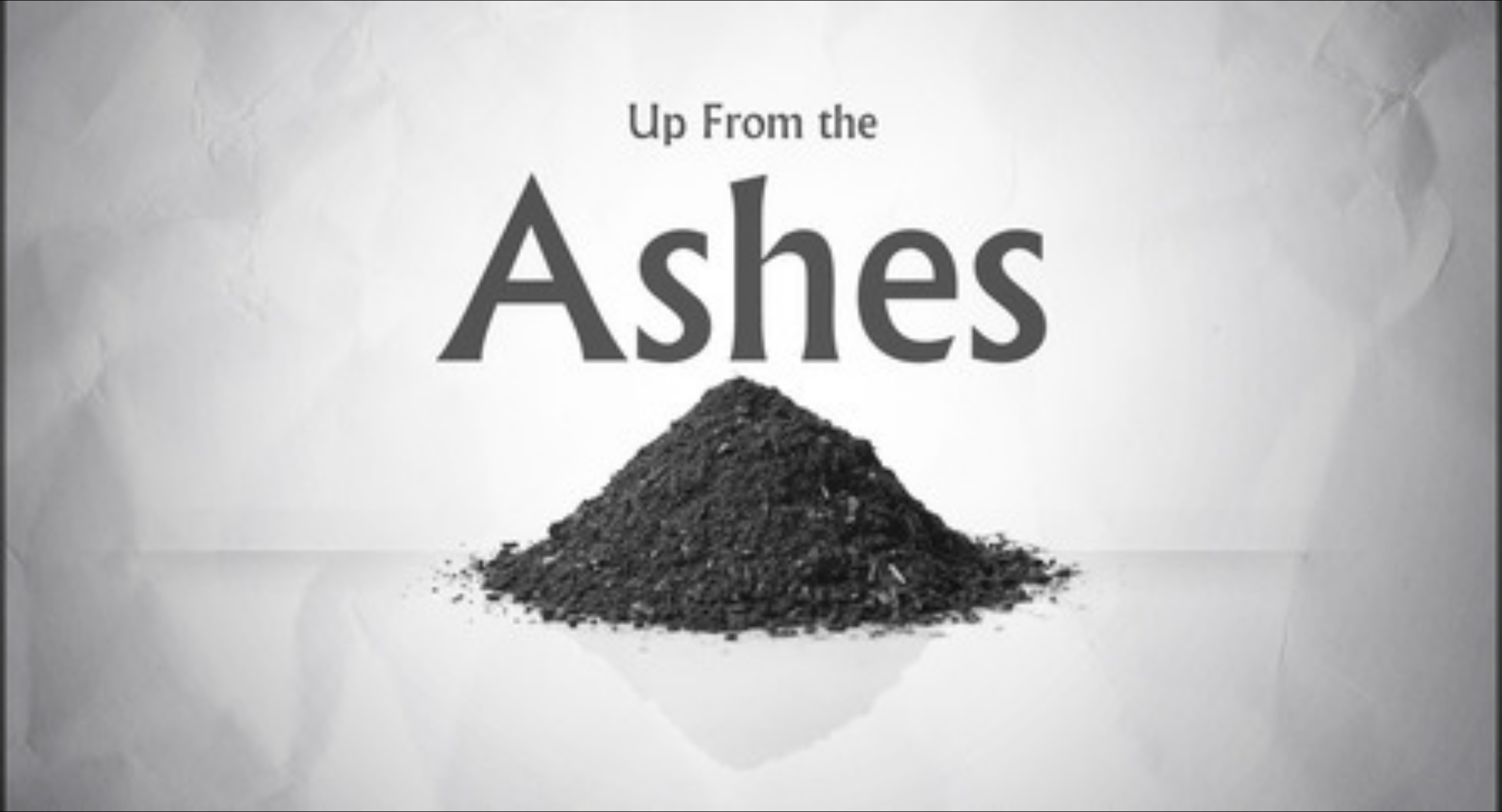 Up From the Ashes
