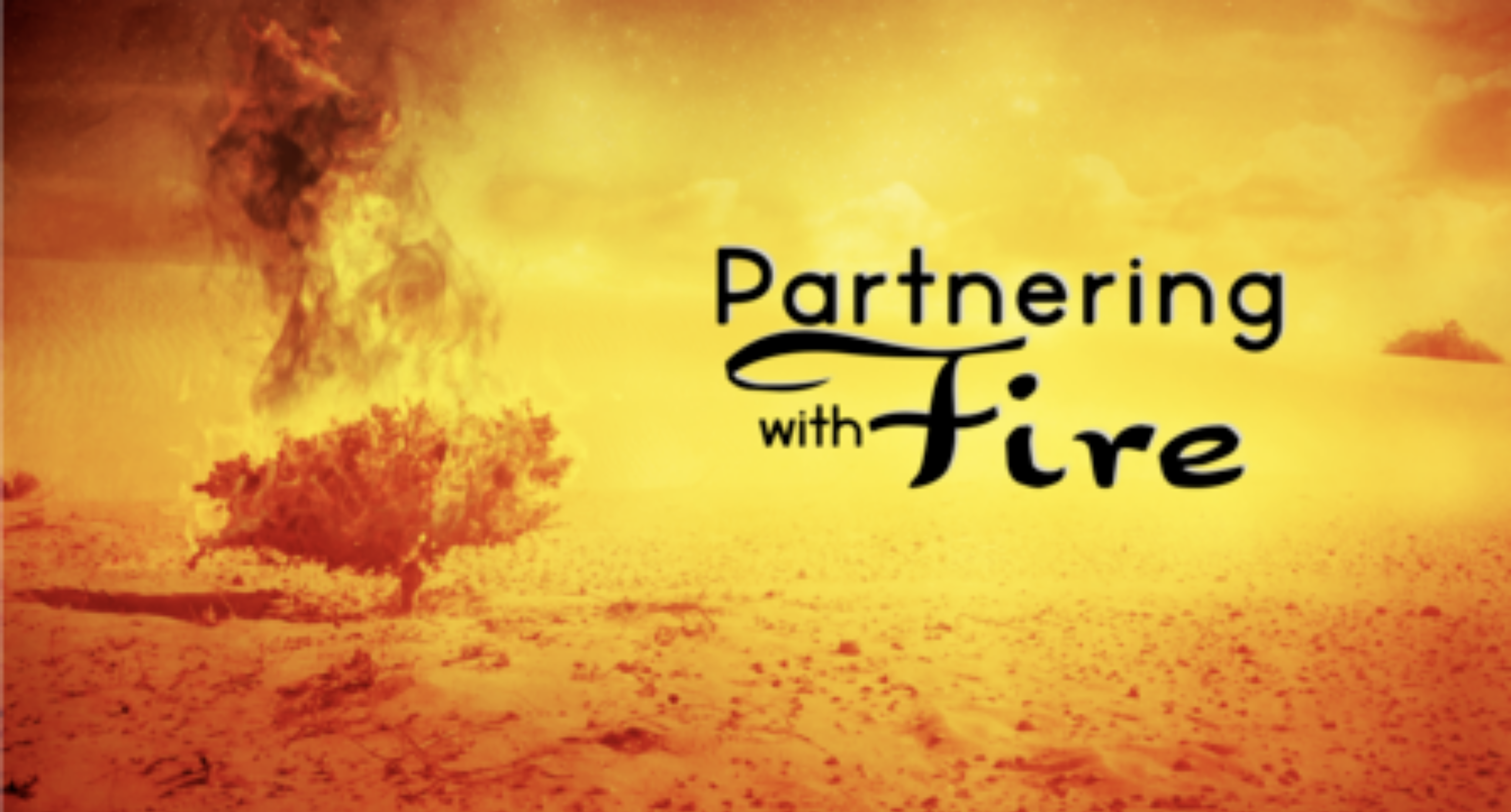 Partnering with Fire